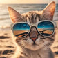 CAMISETA DAMA GATO GLASSES